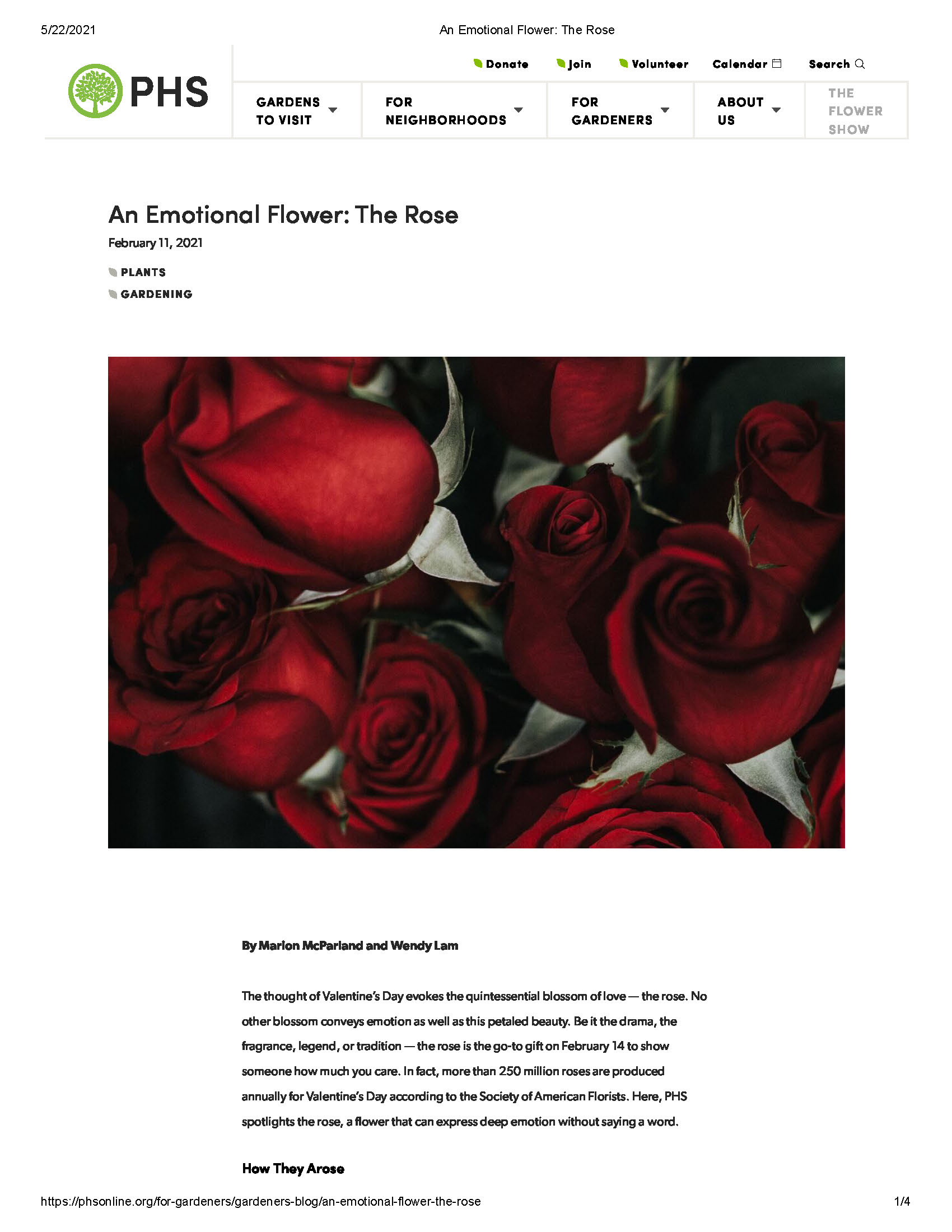 An Emotional Flower: The Rose