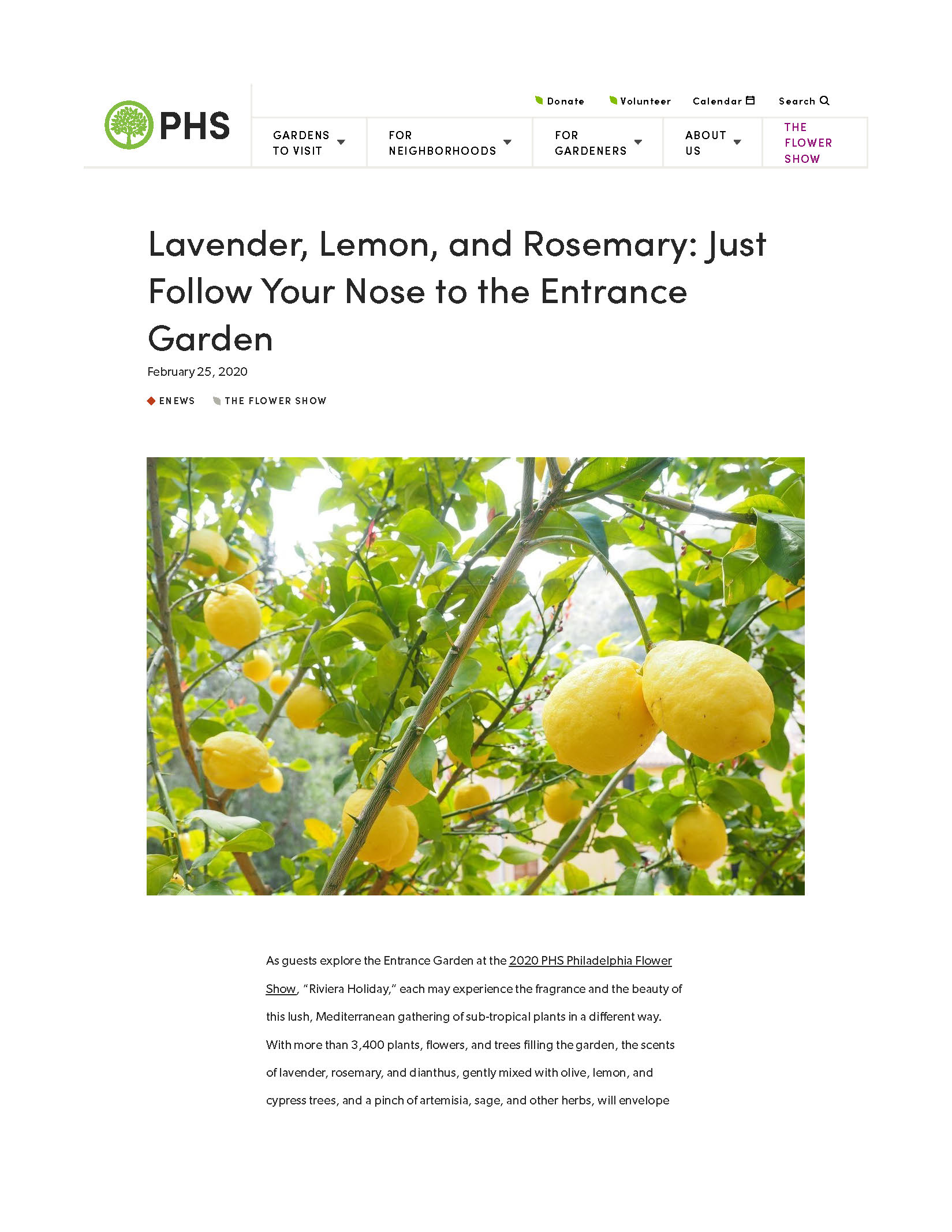 Lavender, Lemon, and Rosemary