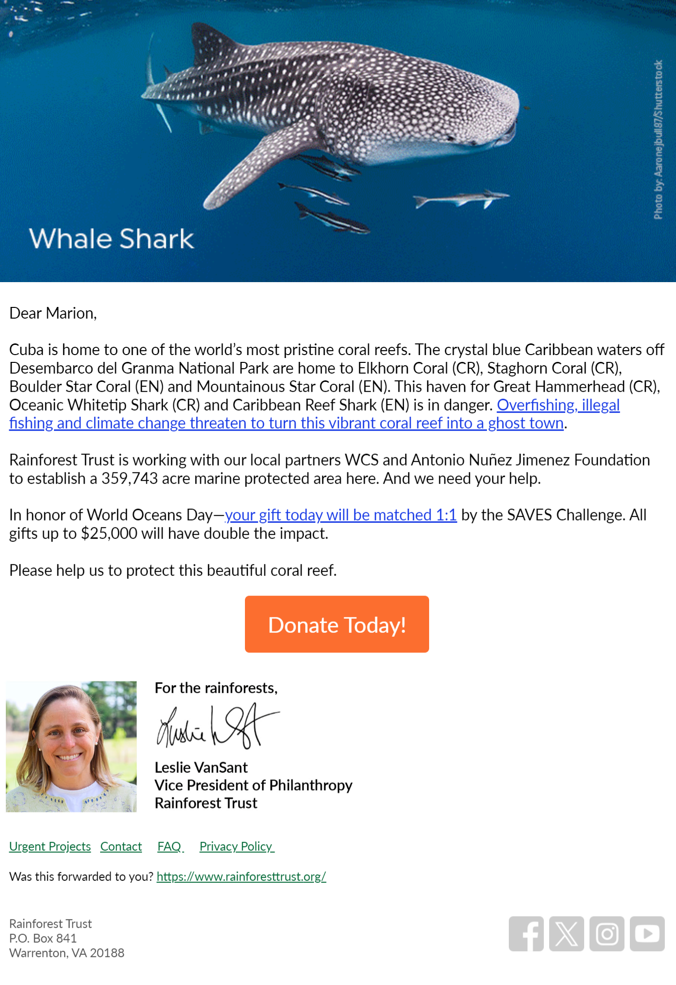 Double Your Impact - Protect Cuba’s Sharks And Coral