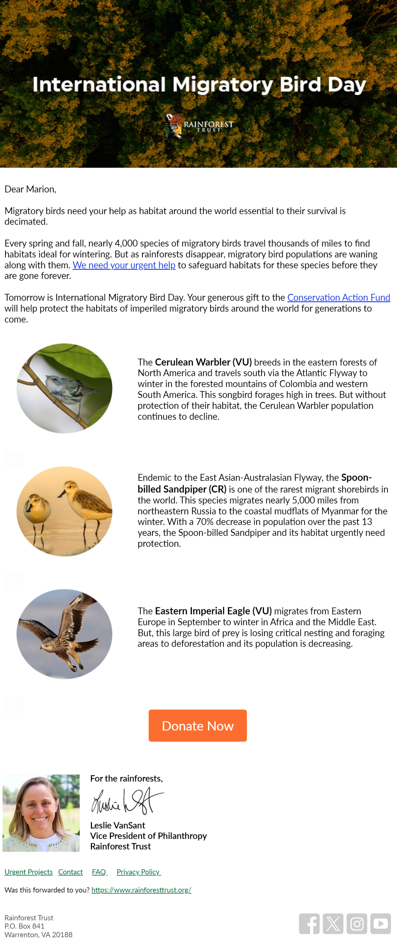 Migratory Birds Need Your Help